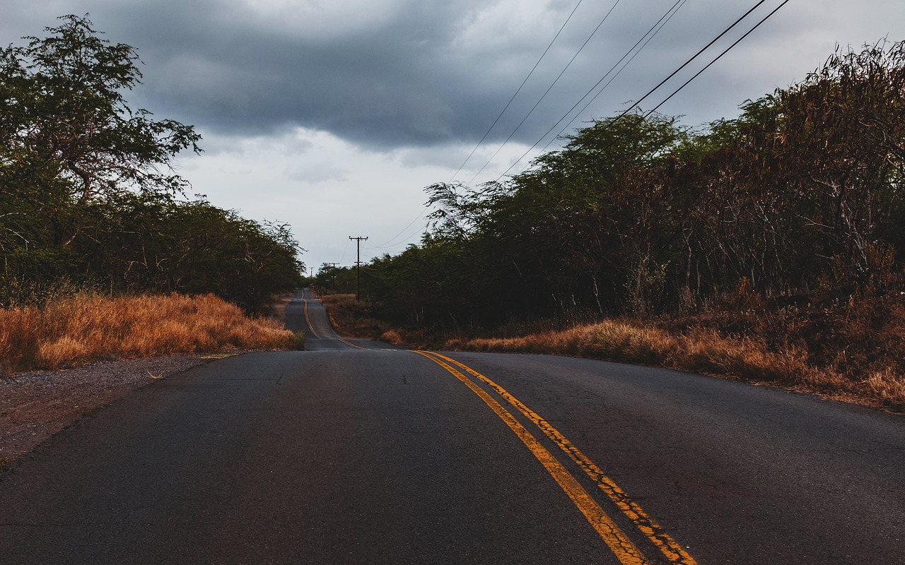 Image - road travel asphalt grass outdoor