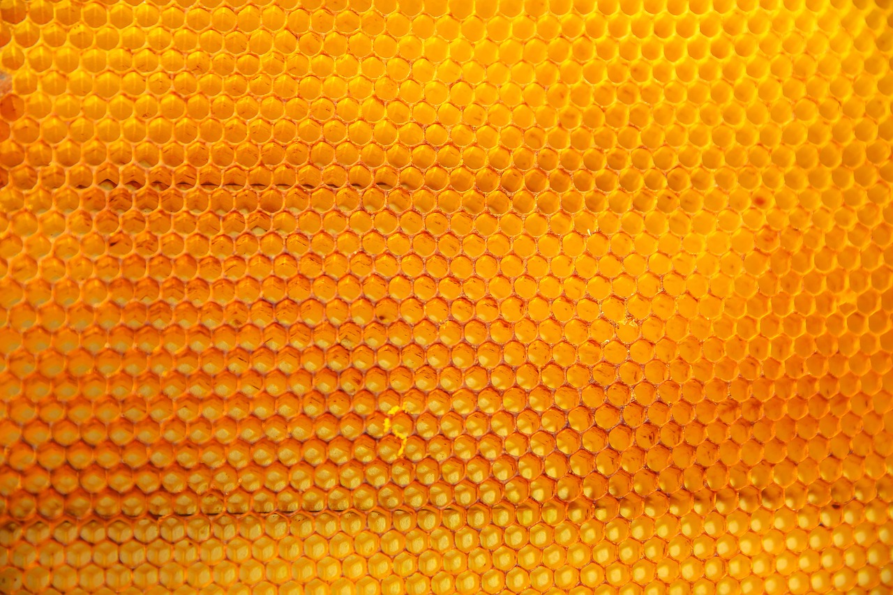 Image - yellow nature bees honey