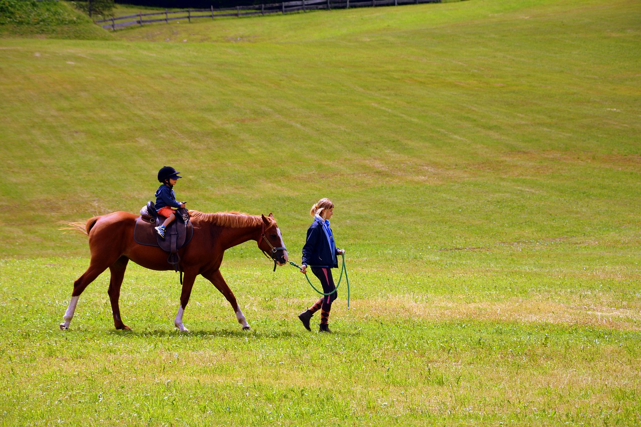 Image - horse horse racing ride accompany