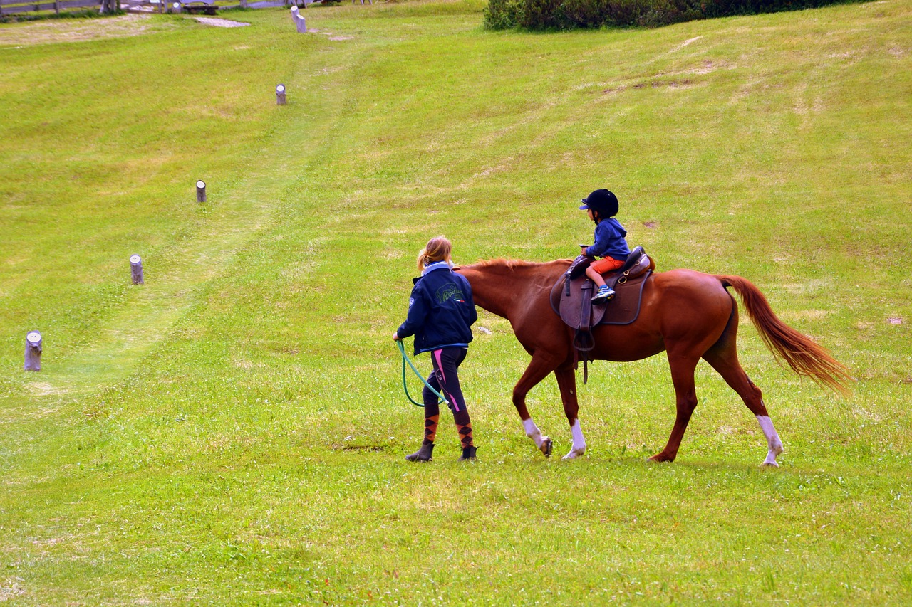 Image - horse horse racing ride accompany