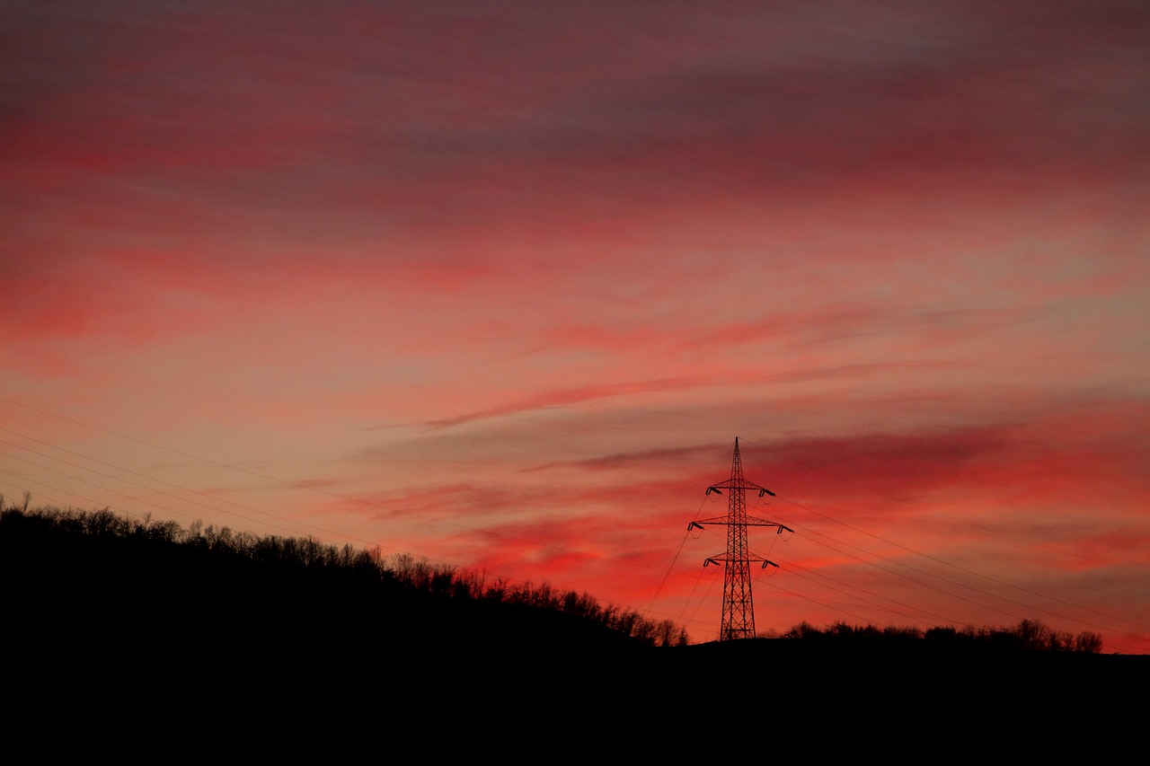 Image - sunset silhouette tree plant field