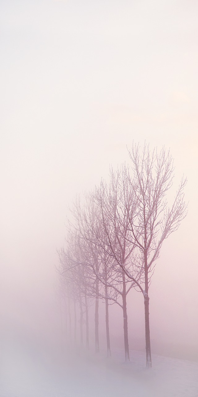 Image - winter winter landscape ripe snow