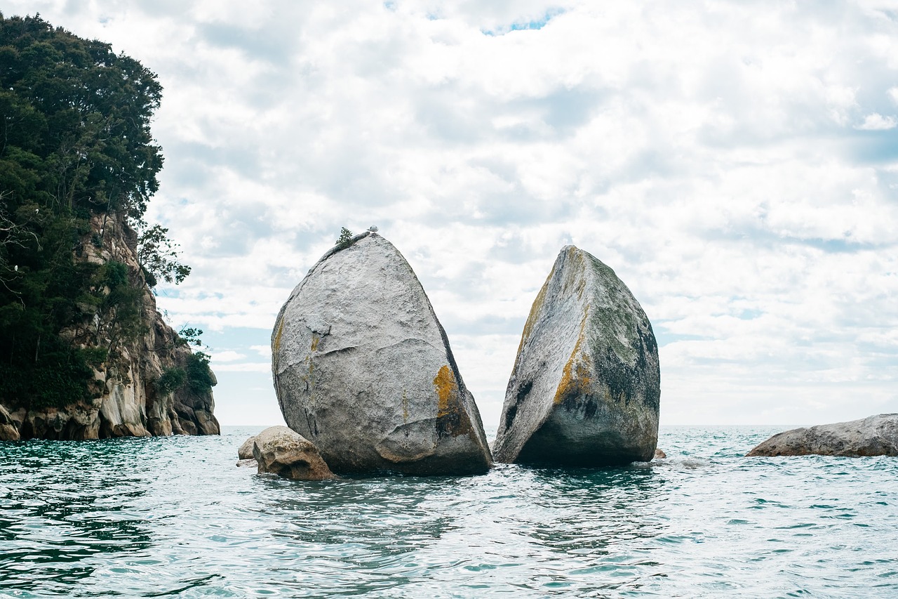 Image - sea ocean water trees plant rocks