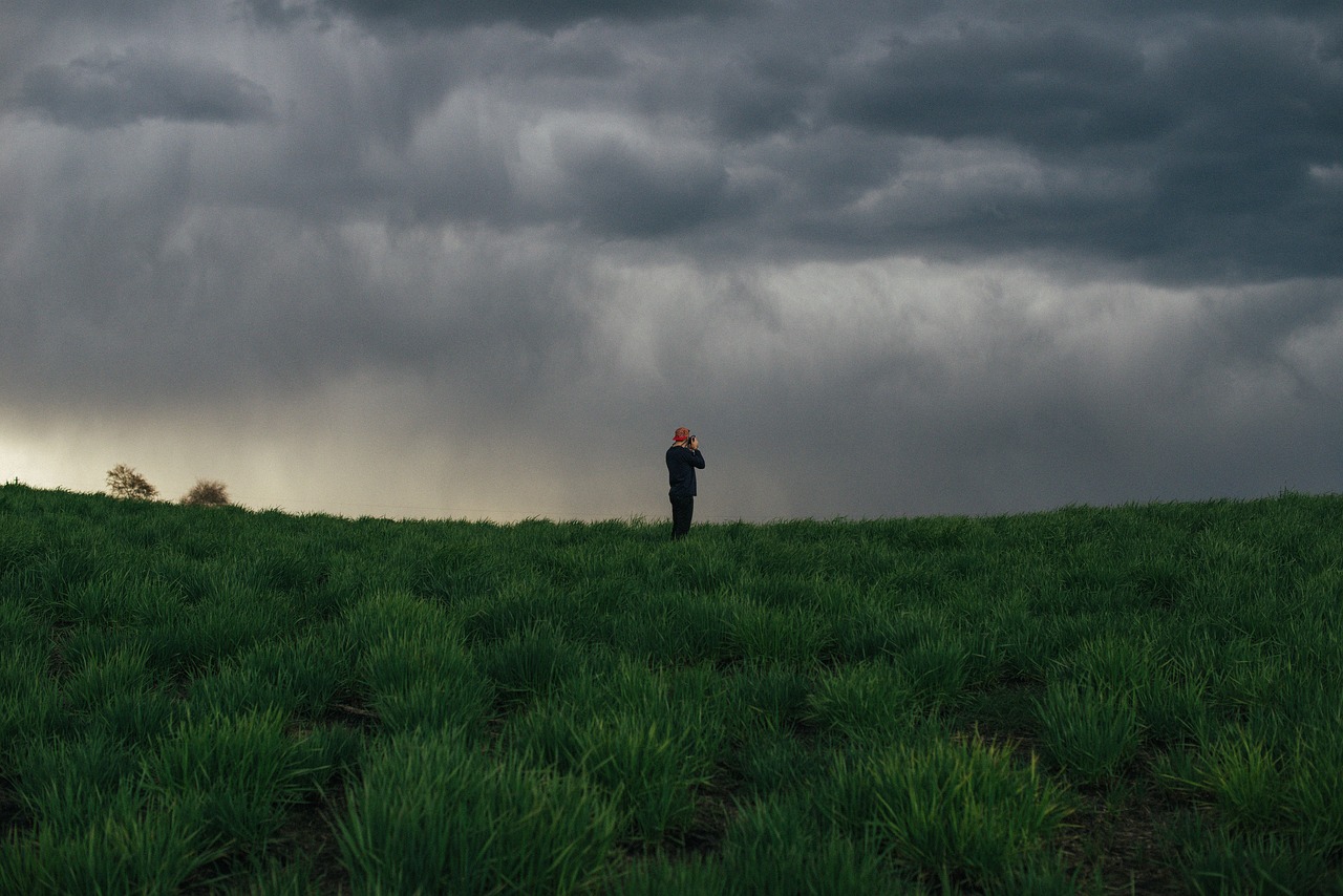 Image - green grass field farm nature