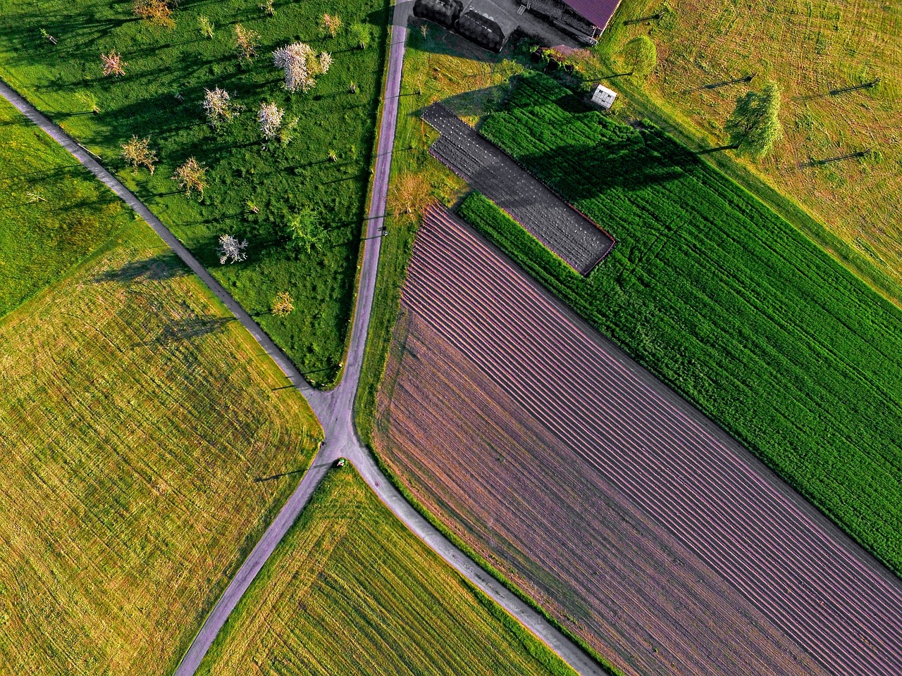 Image - green field farm nature road path