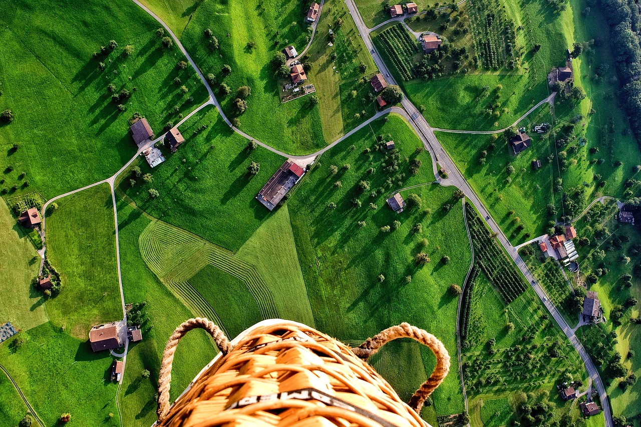 Image - green grass aerial view trees