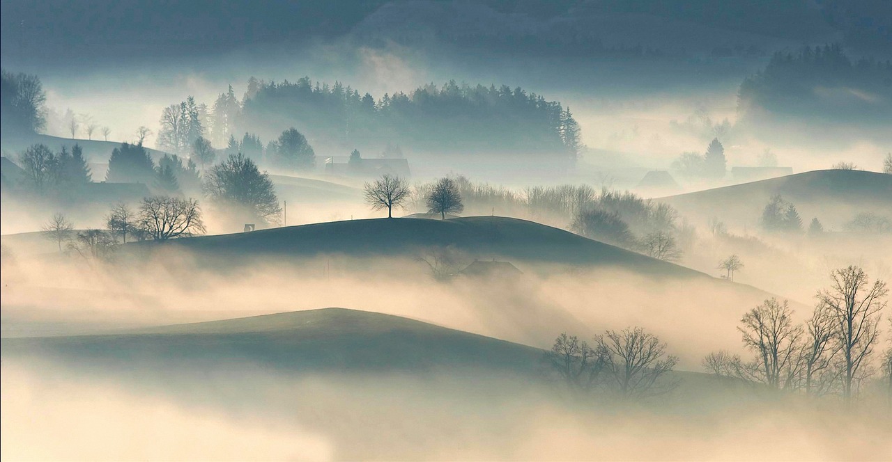 Image - mountain highland trees plant