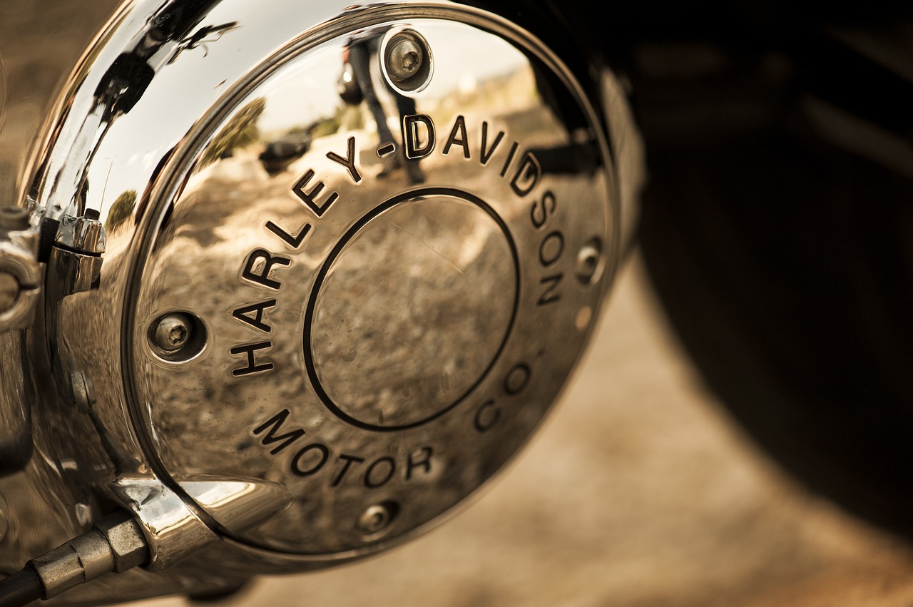 Image - biker harley harley davidson 1200
