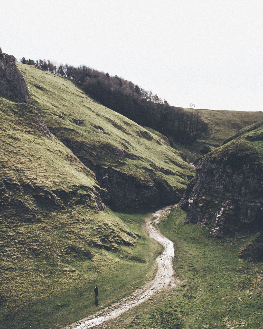 Image - green grass highland grassland