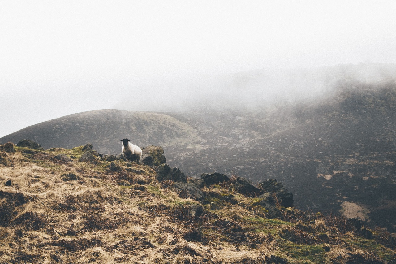 Image - mountain highland cloud fog summit