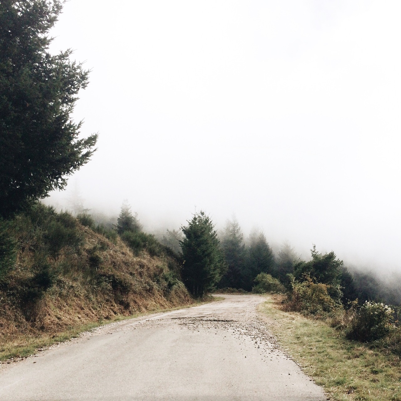 Image - nature pathway travel adventure