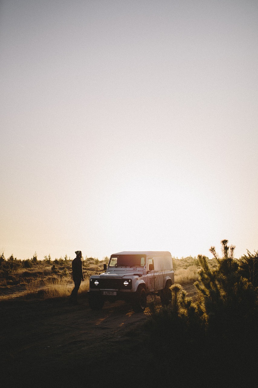 Image - green grass plant travel morning