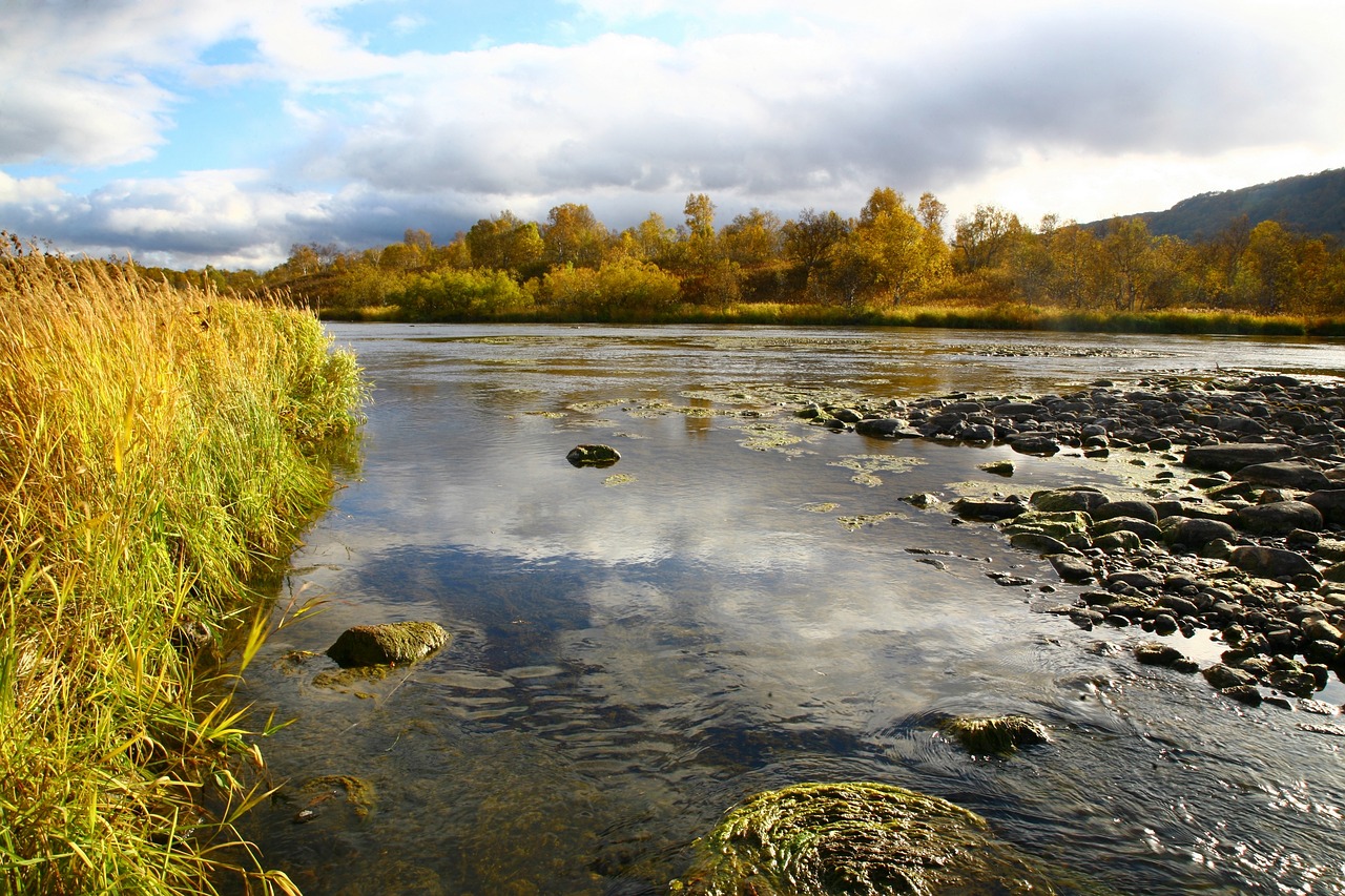 Image - river back on track for water