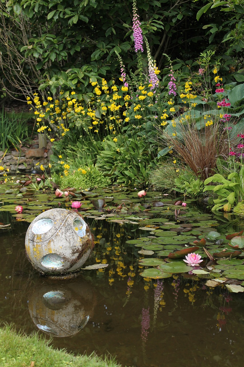 Image - lake pond garden nature water