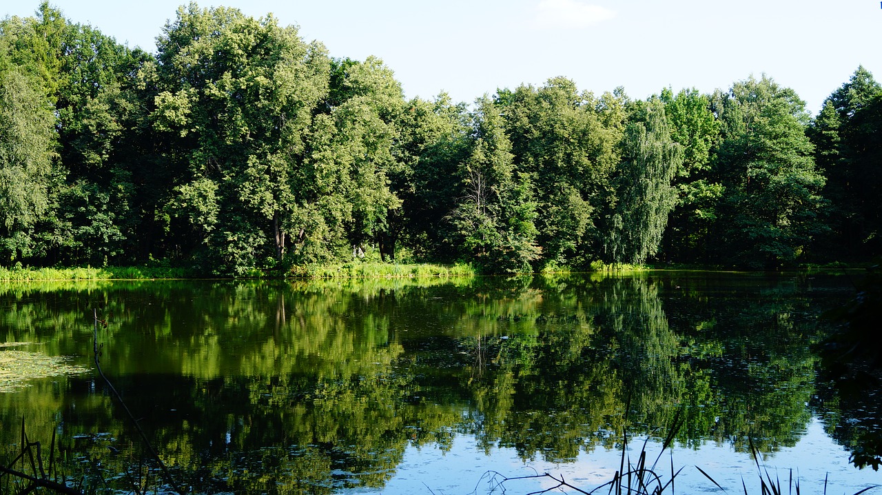 Image - russia moscow region body of water