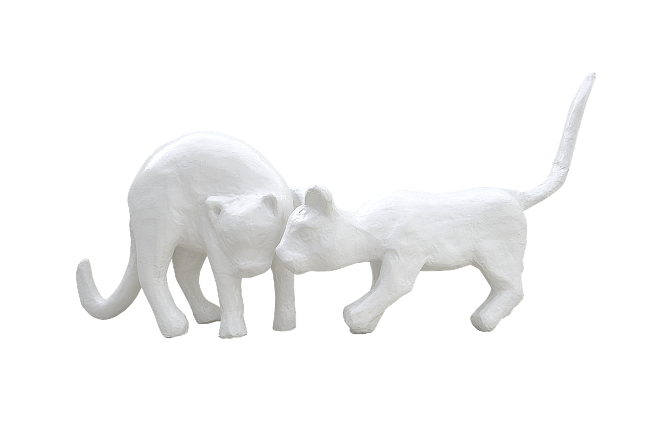 Image - plaster white cats cats plaster