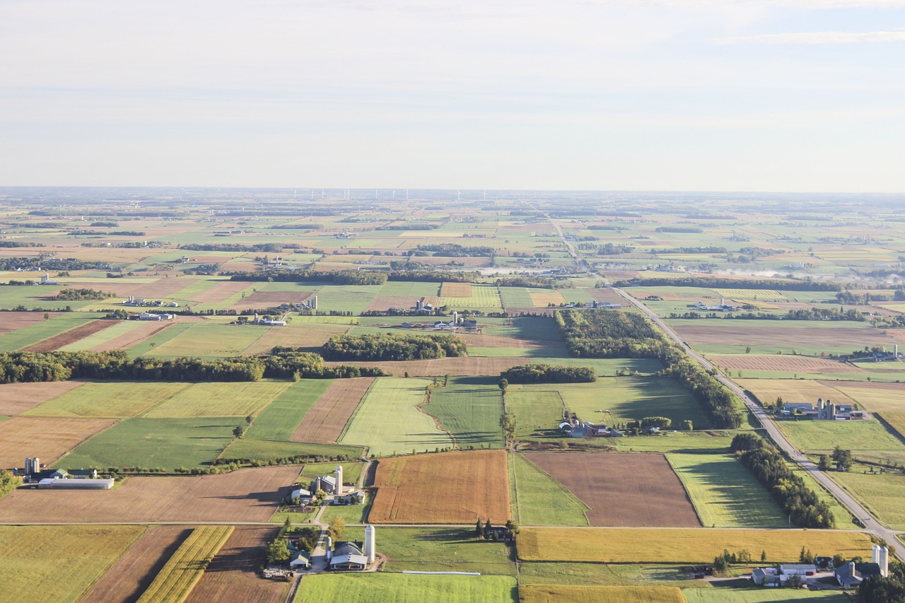 Image - nature landscape aerial green