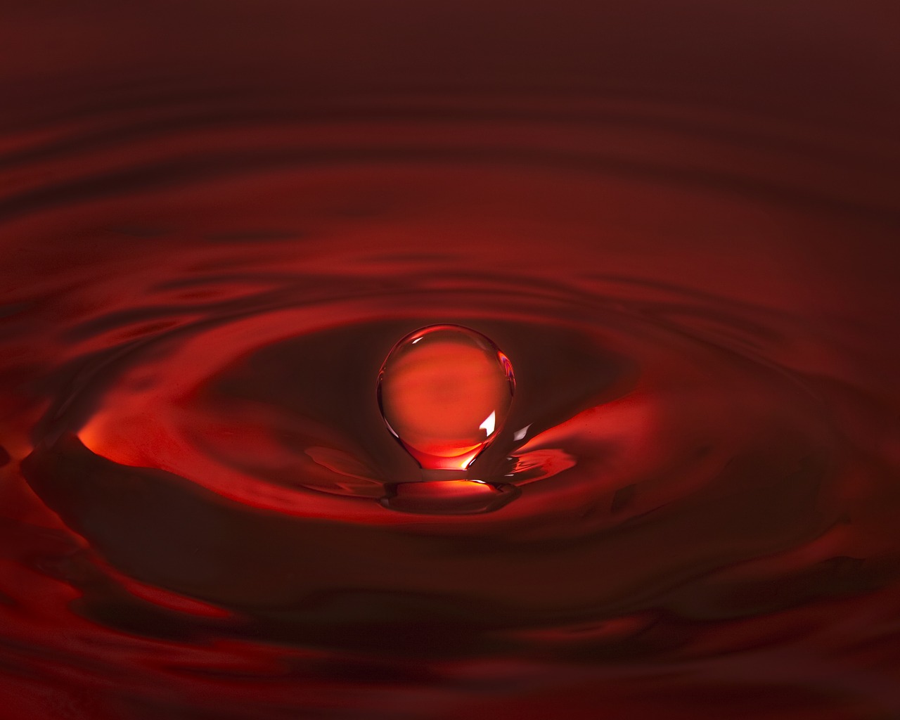 Image - drop water relax red relaxation