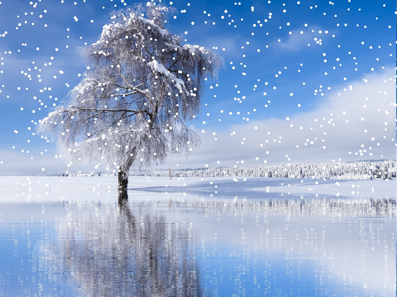 Image - winter snow snowfall wintry cold