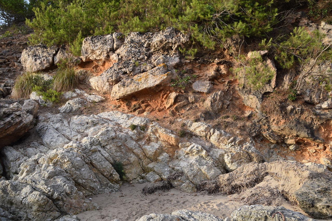 Image - bush rock coast