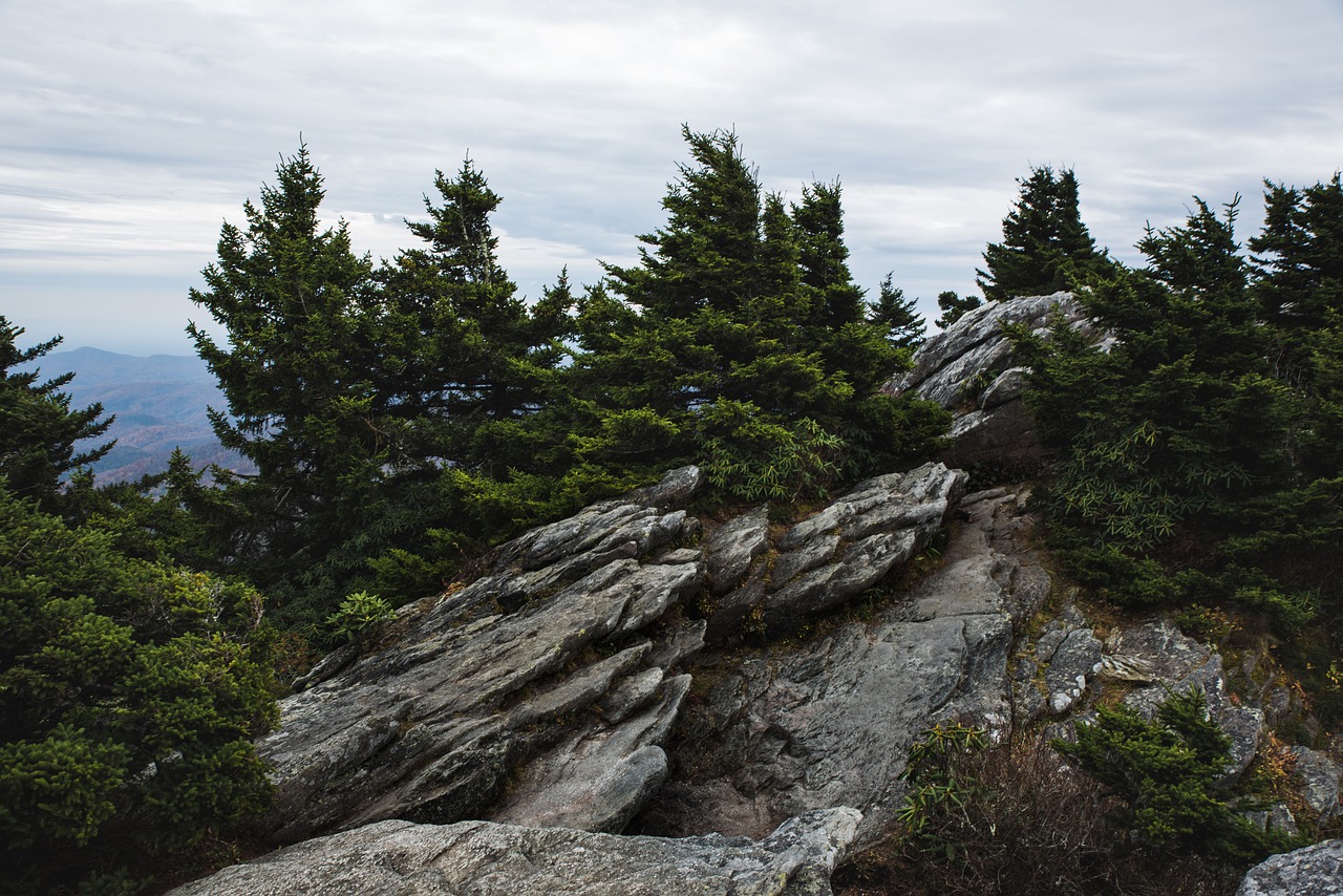 Image - rock hill ridge peak trees plant