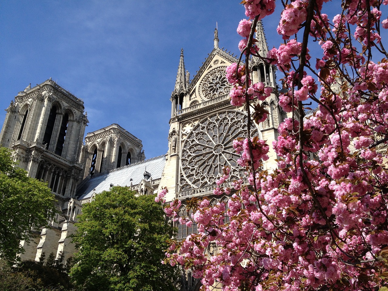 Image - france paris spring journey