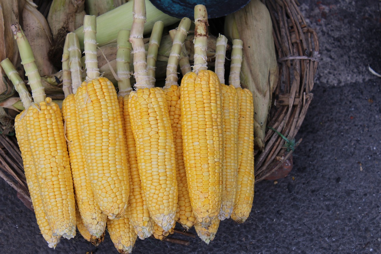 Image - corn street sell vegetable indian