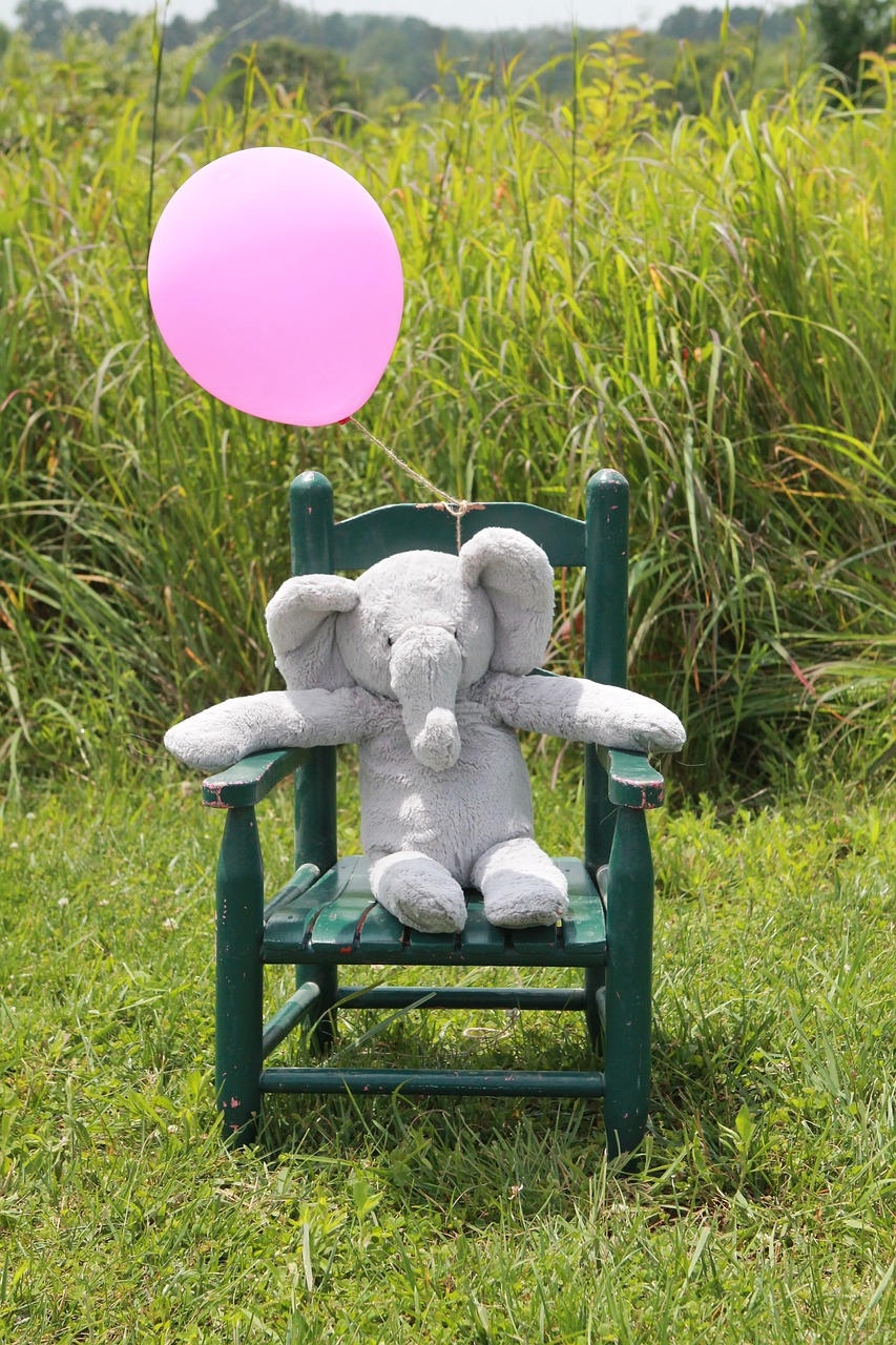 Image - baby announcement new baby elephant