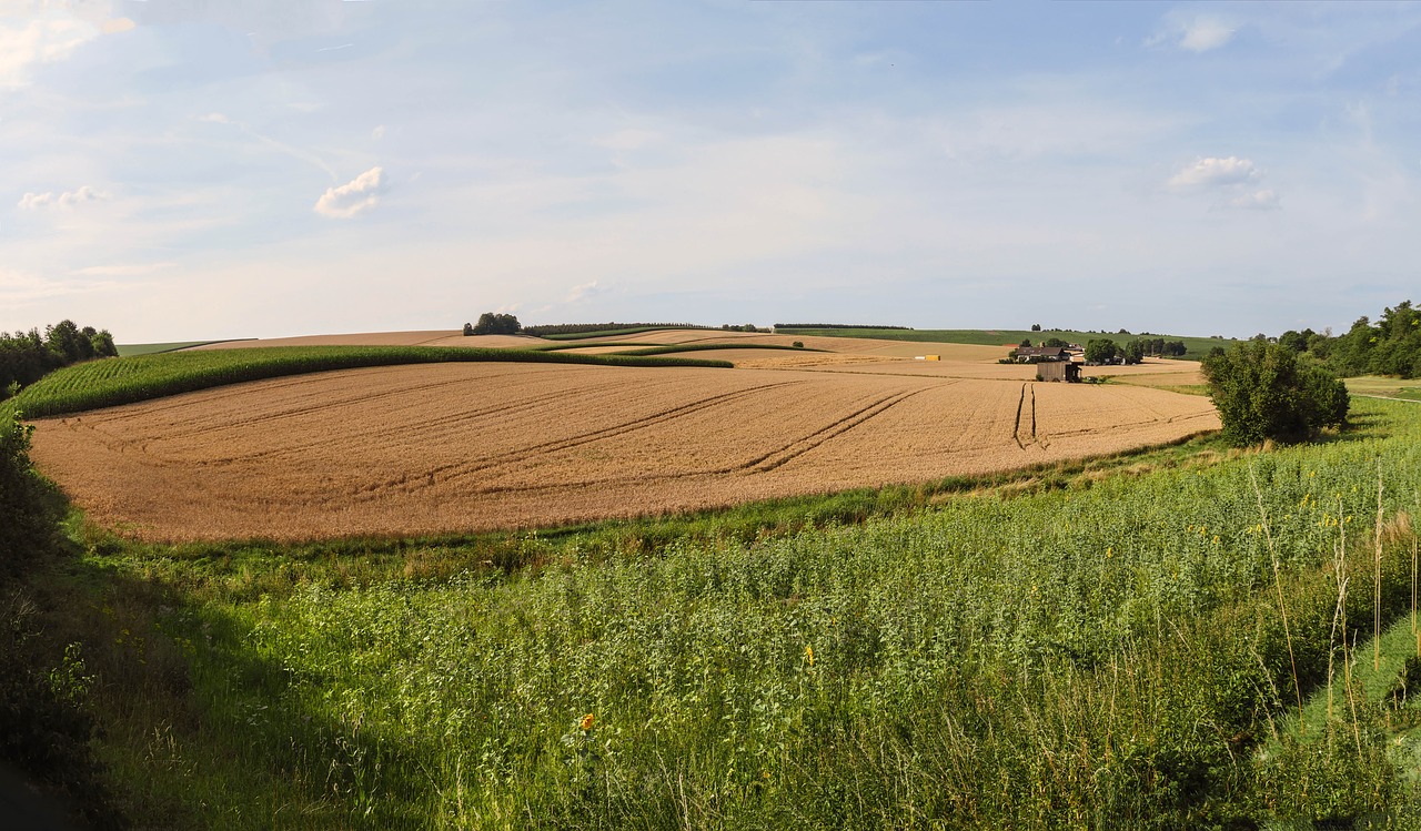 Image - agriculture fields grain corn