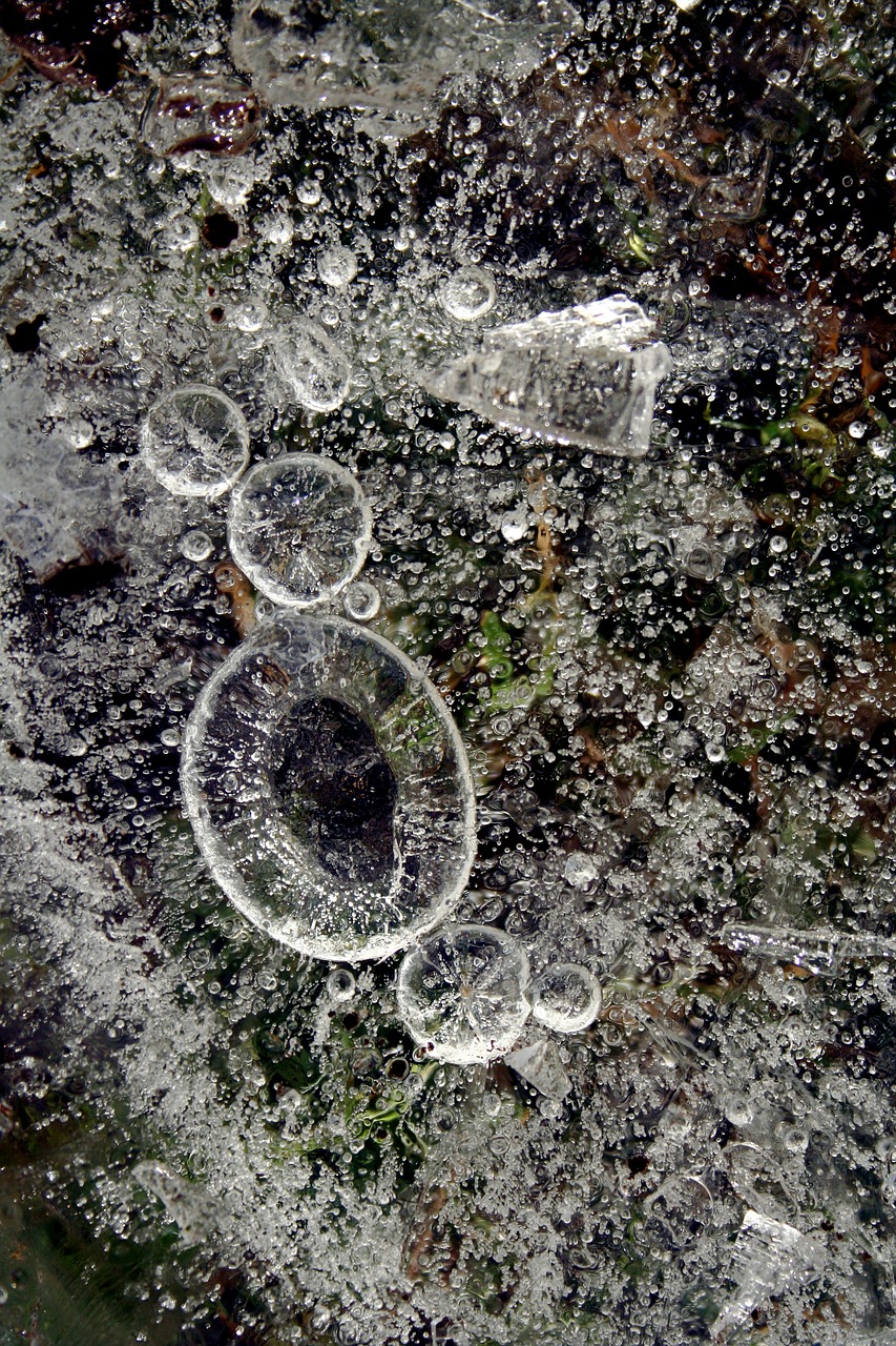 Image - ice bubble water cold cool frozen