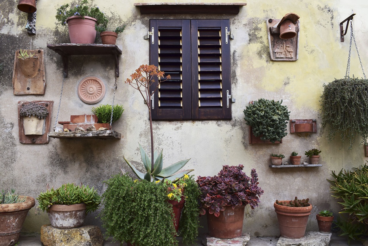 Image - nature wall windows garden plants