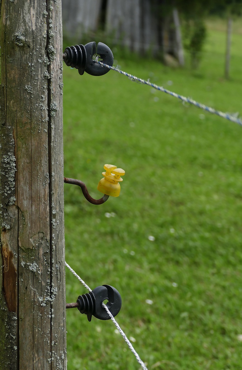 Image - pasture fence insulating pole wire