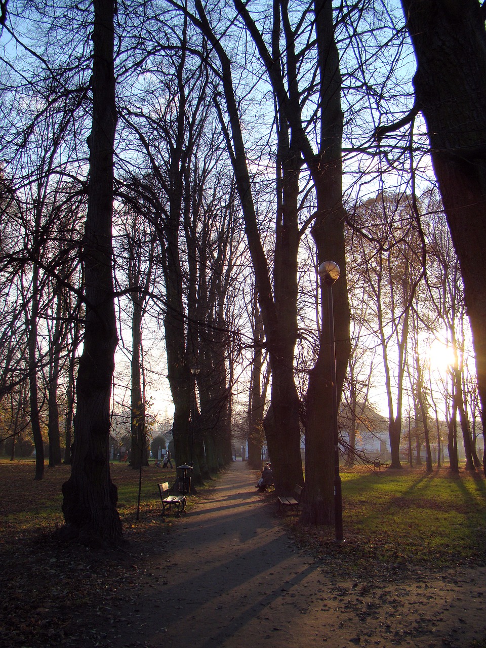 Image - park alley sunset autumn tree