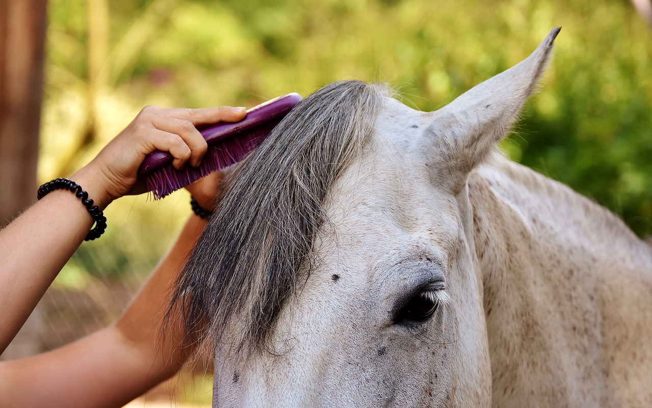 Image - mold horse pony brushes mane