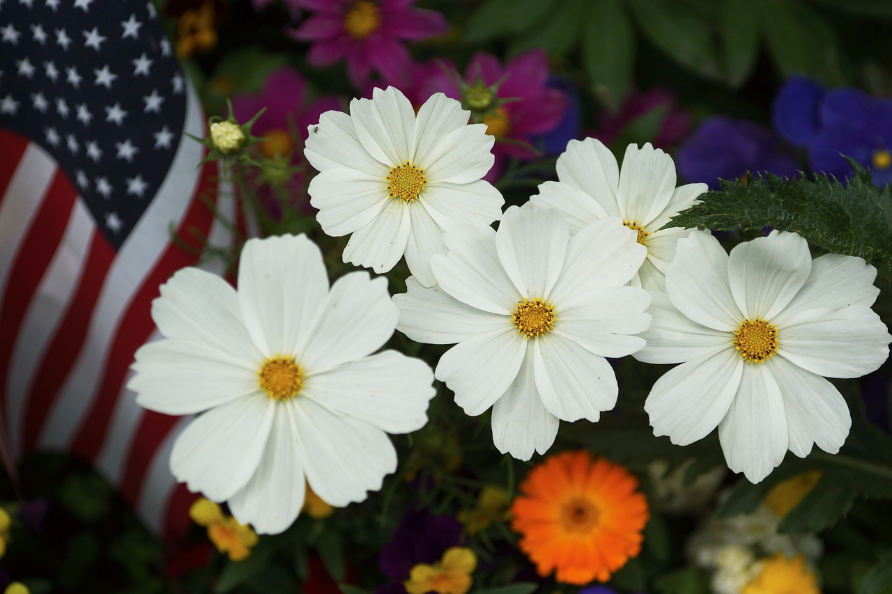 Image - summer flower flag bloom garden