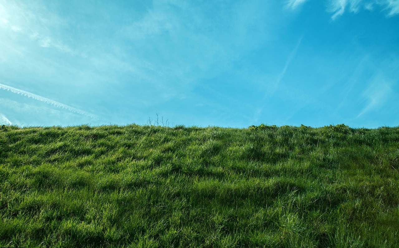 Image - air grass blue green cloud