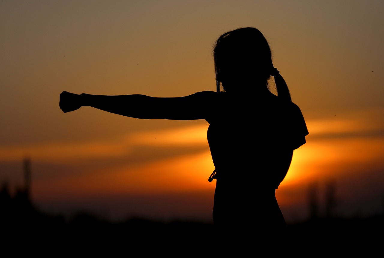 Image - karate sunset fight sports