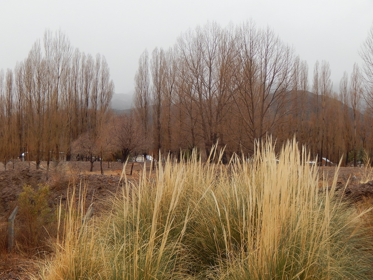 Image - winter landscape winter cold