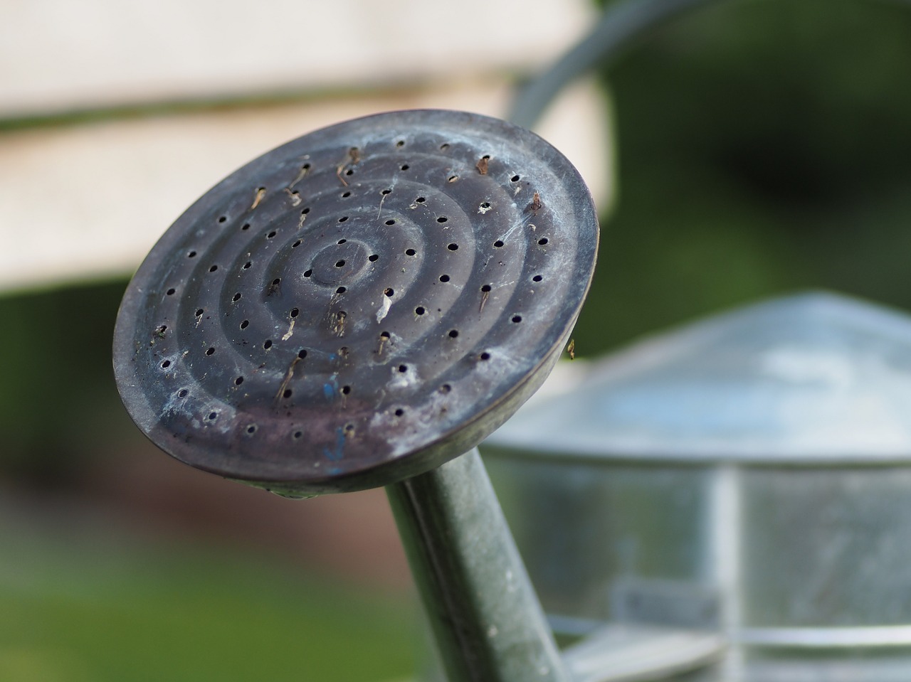 Image - watering can nature water casting