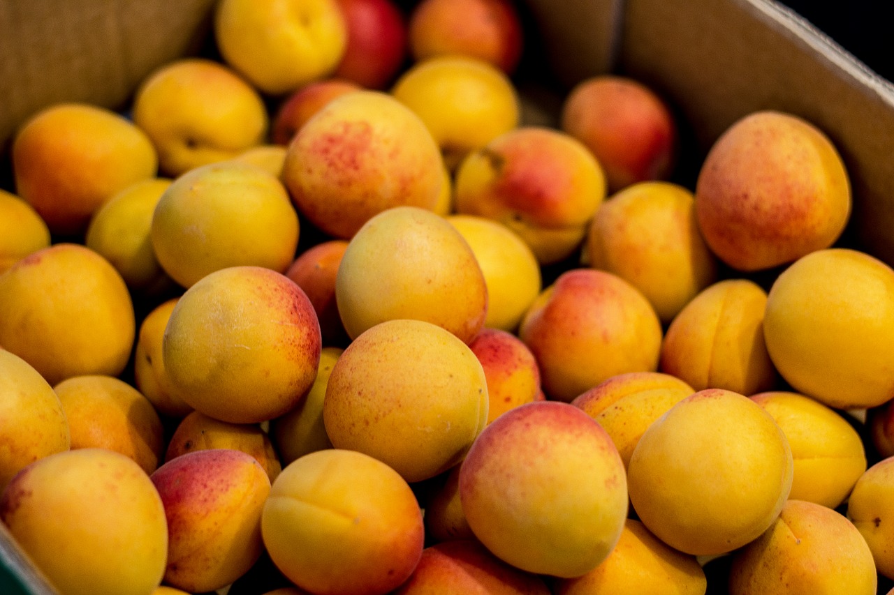 Image - apricot fruit fresh food