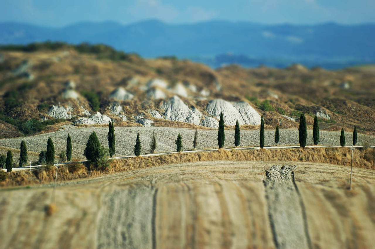 Image - tuscany landscape cypress italy