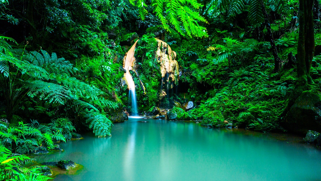 Image - azores waterfall oasis forest