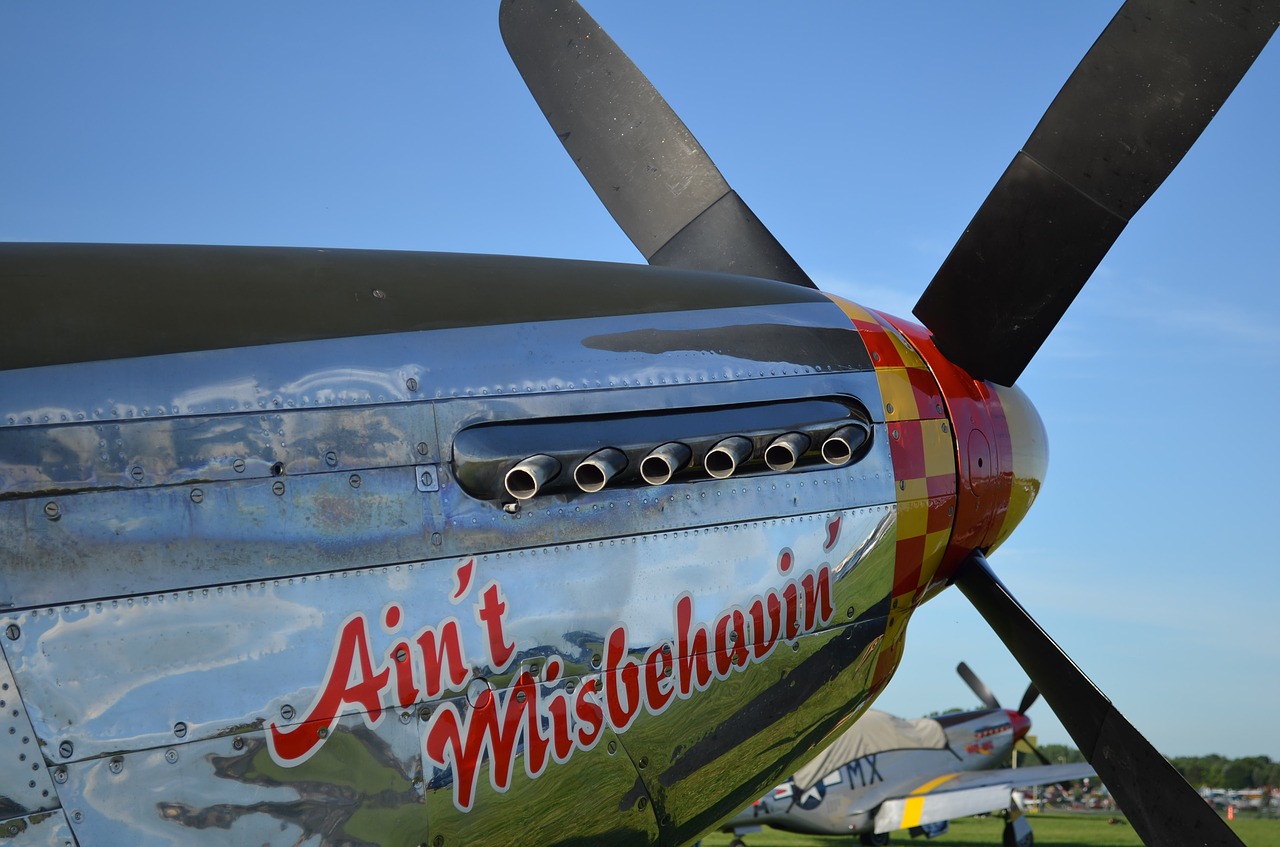 Image - tuskegee airshow p 51 mustang p51