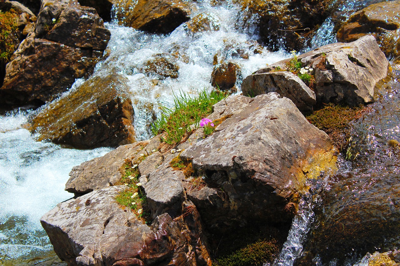 Image - wild water nature spray river