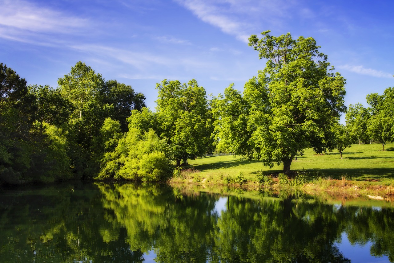 Image - color pond lake still water