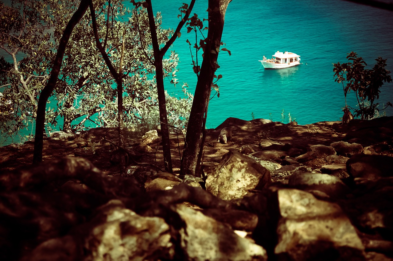 Image - fernando of noronha mar island