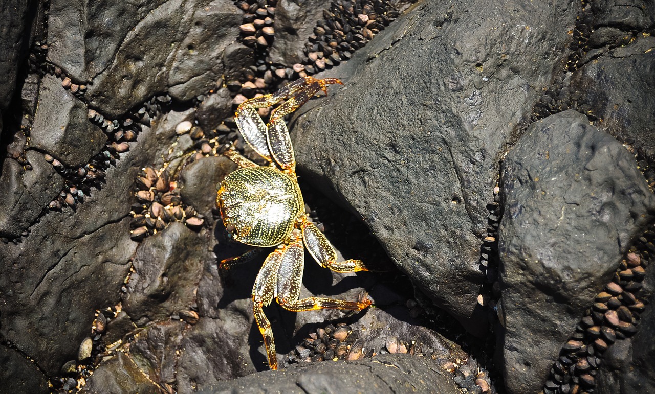 Image - fernando of noronha mar island