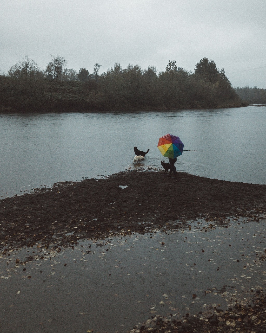 Image - rainbow umbrella people alone man