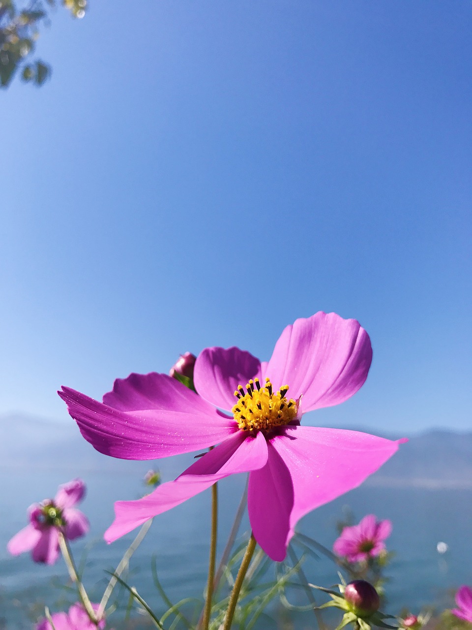 Image - erhai lake in yunnan province