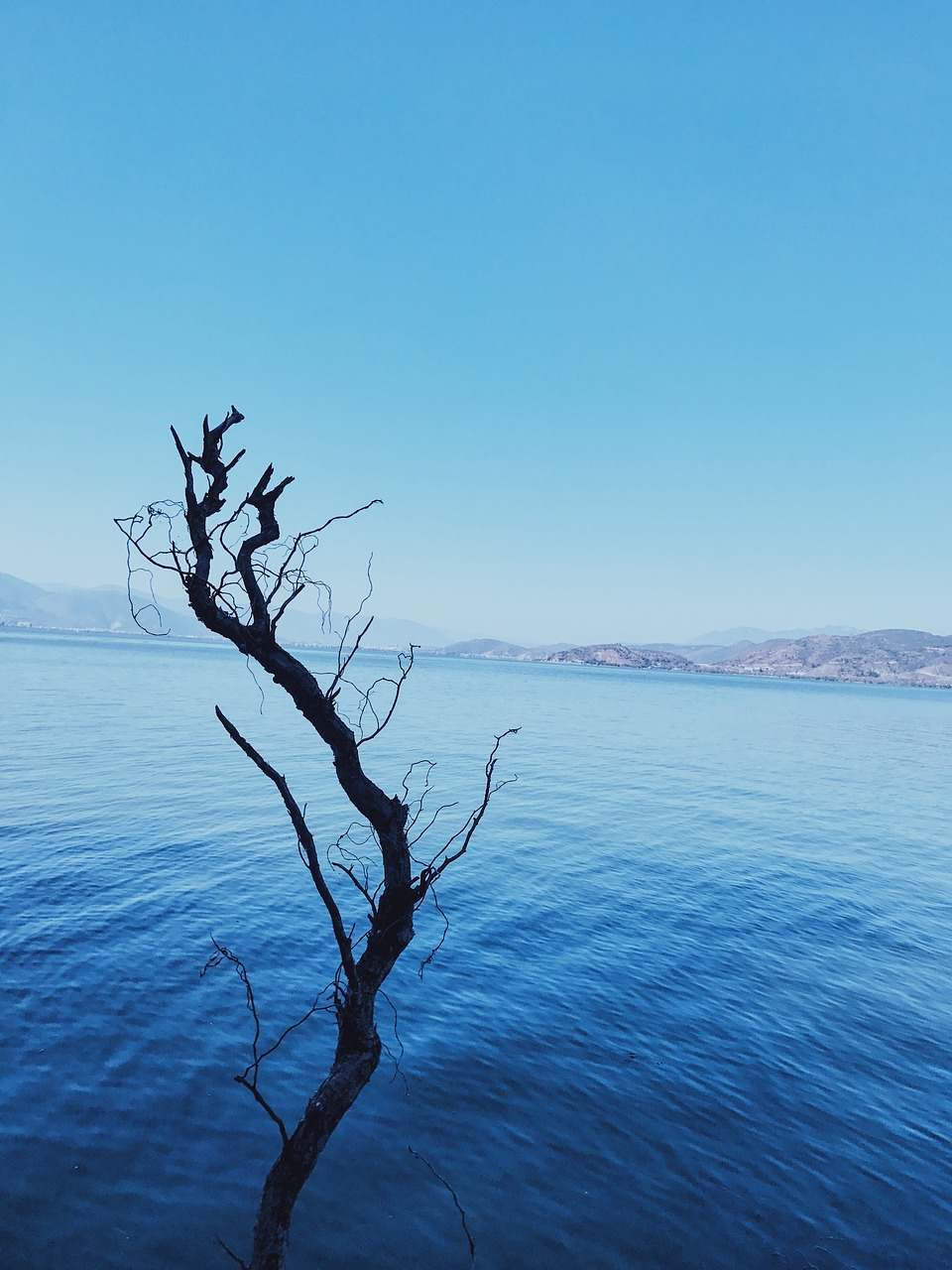 Image - erhai lake in yunnan province